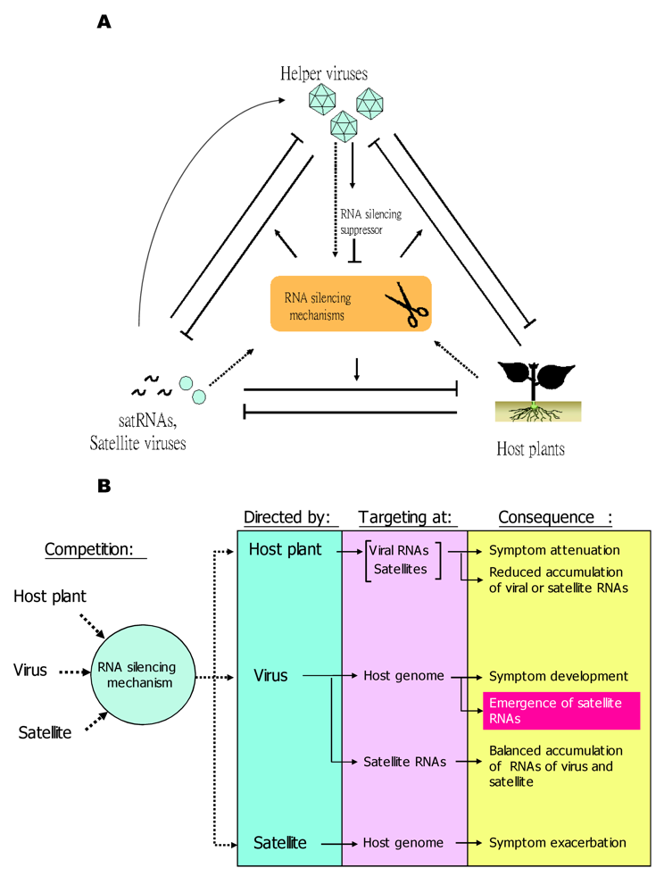 Viruses 01 01325 g002 1024