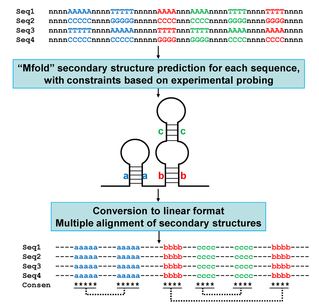 Viruses 01 01325 g003 1024
