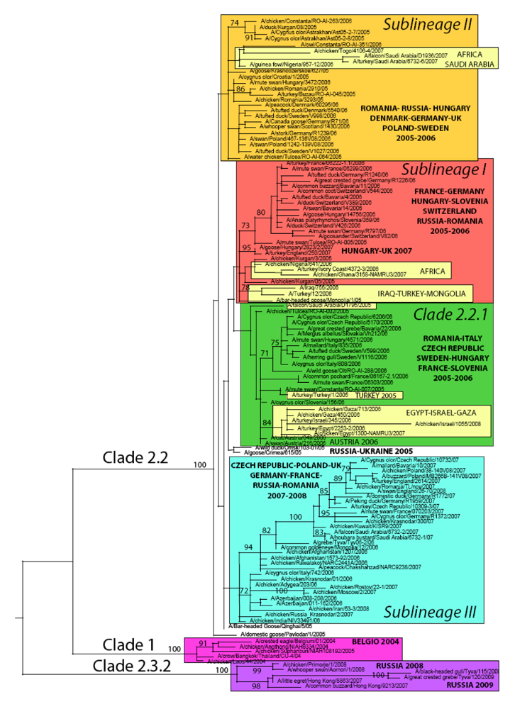 Viruses 01 01351 g001