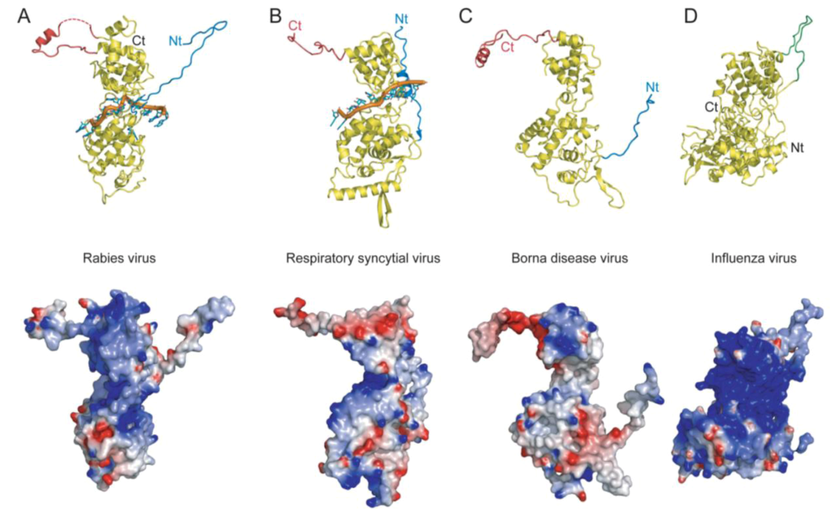 Viruses 02 00027 g001
