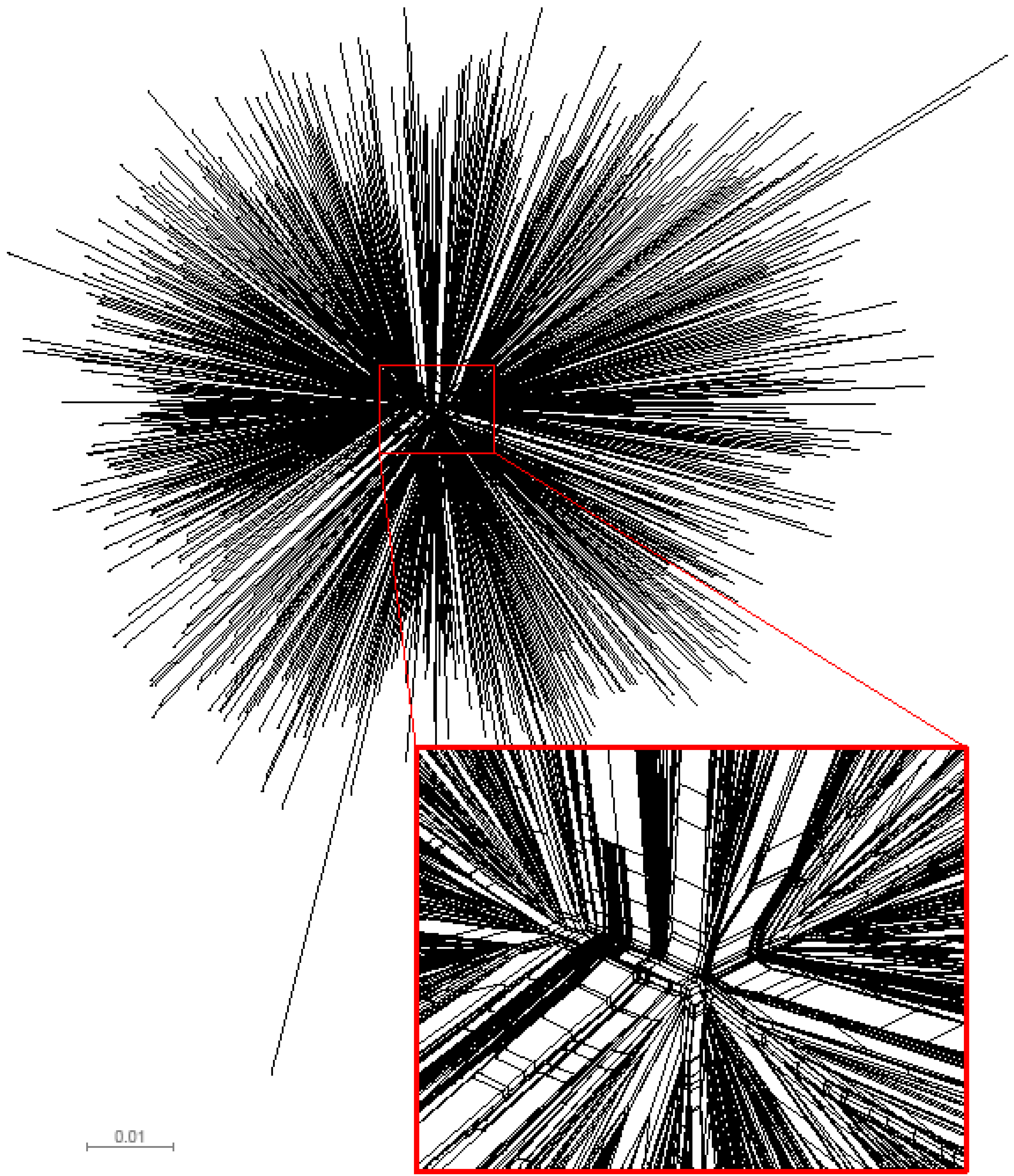 Viruses 02 00033 g002