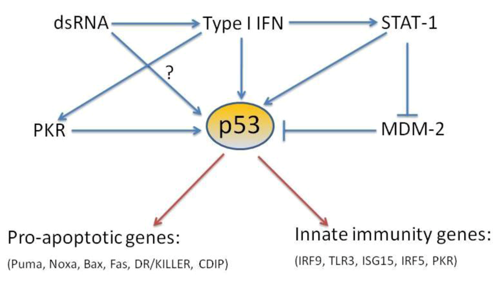 Viruses 02 00298 g001 1024