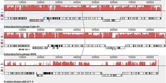 Viruses 02 00710 g002 550