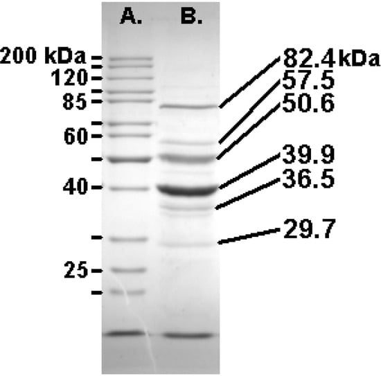 Viruses 02 00710 g003 550