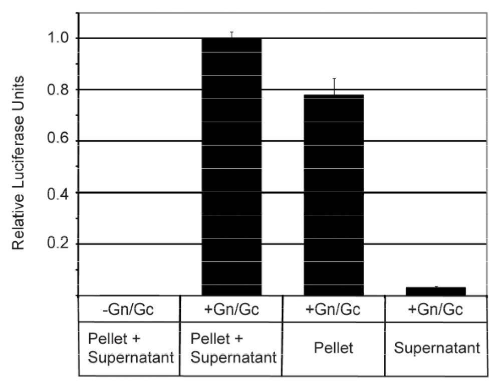 Viruses 02 00731 g004