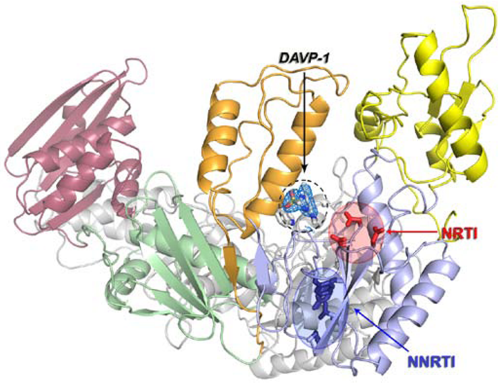 Viruses 02 00880 g007 1024