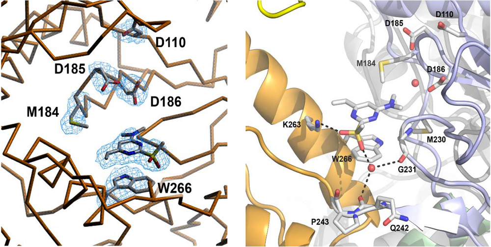 Viruses 02 00880 g008 1024