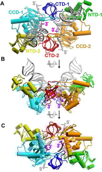 Viruses 02 01185 g001 550