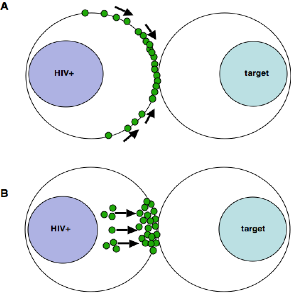 Viruses 02 01261 g002 1024