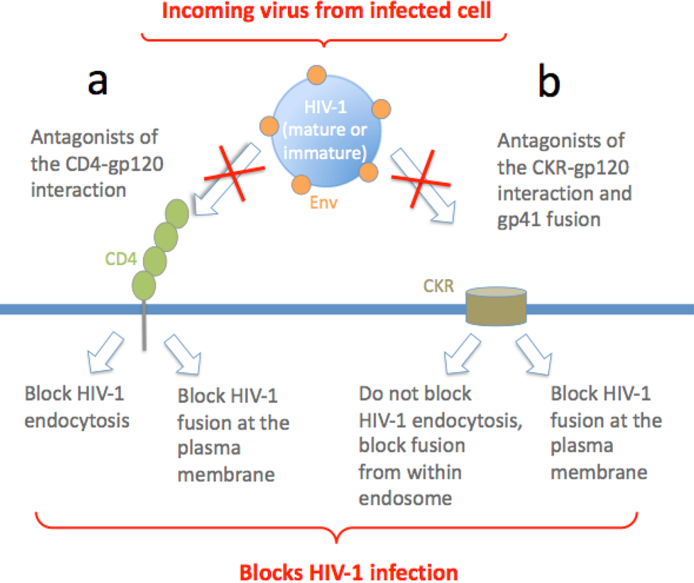 Viruses 02 01306 g002 1024