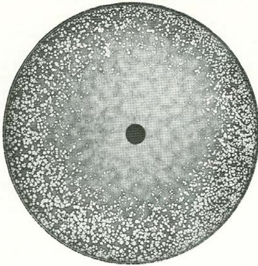 Viruses 02 01322 g001 1024