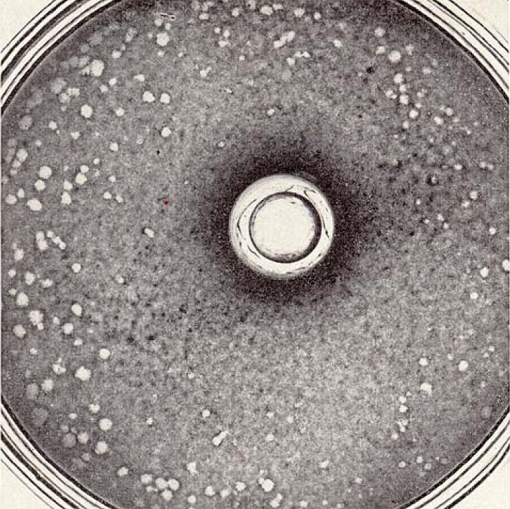 Viruses 02 01322 g002 1024