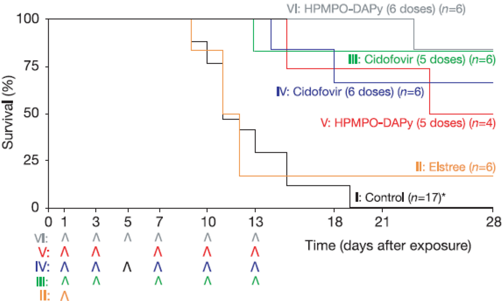 Viruses 02 01322 g004 1024