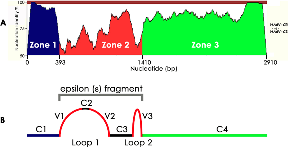 Viruses 02 01367 g001 1024