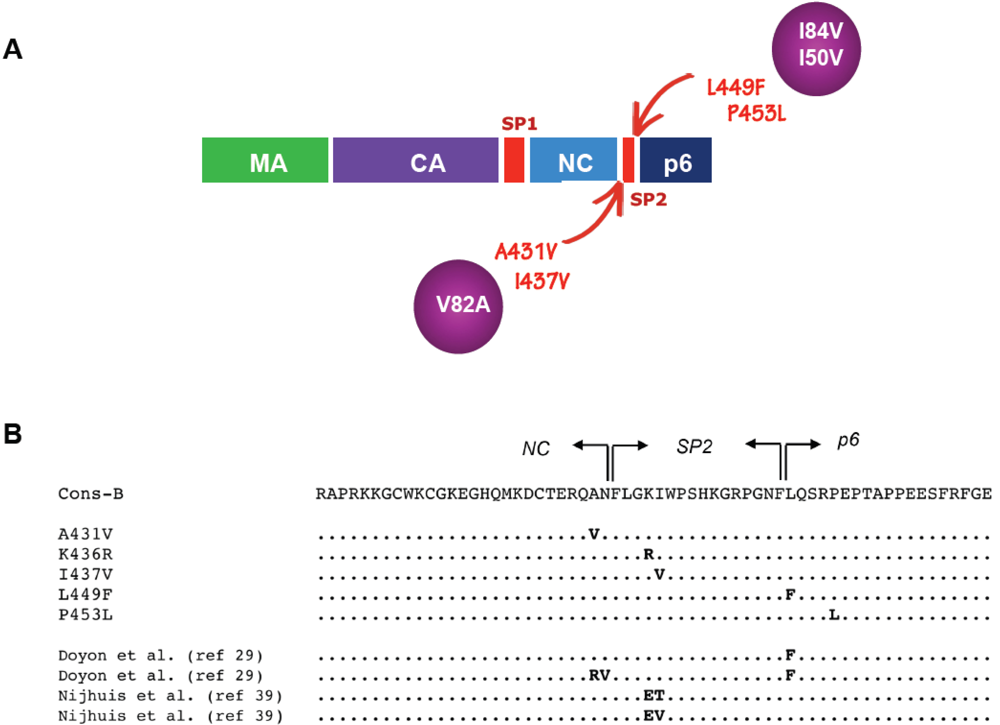 Viruses 02 01411 g002 1024