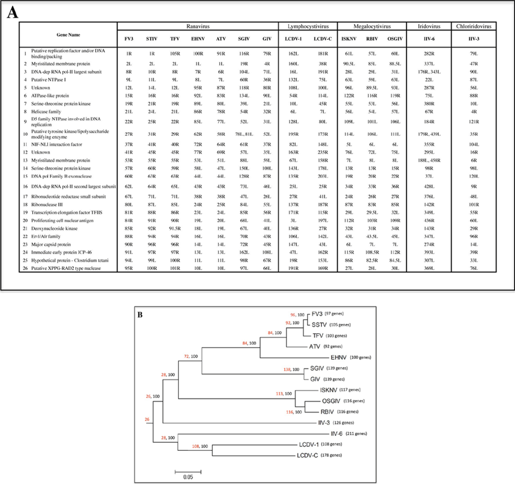 Viruses 02 01458 g001 1024
