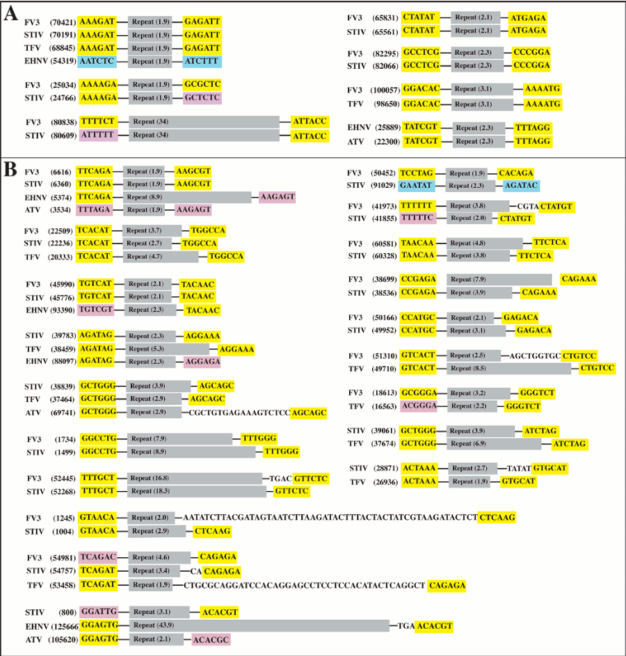 Viruses 02 01458 g004 1024