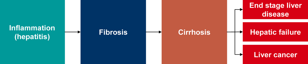 Viruses 02 01504 g001 1024