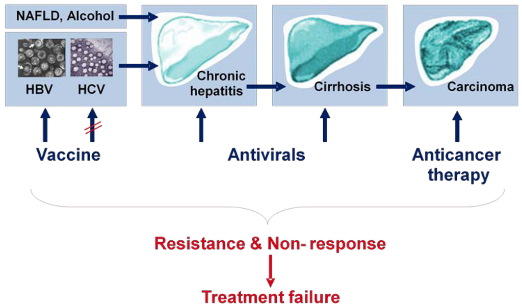 Viruses 02 01504 g002 1024