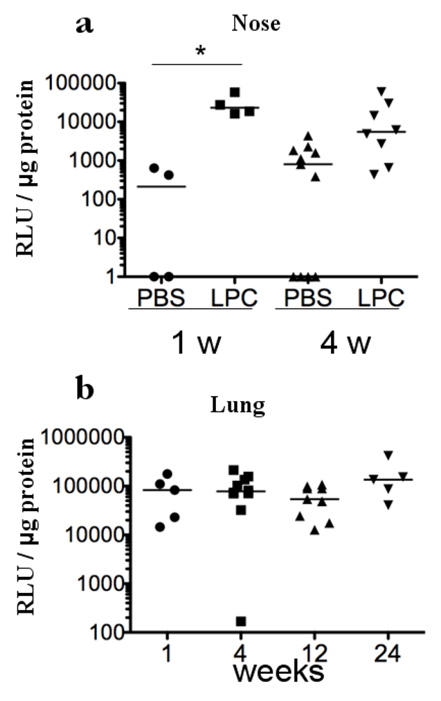 Viruses 02 01577 g002 1024