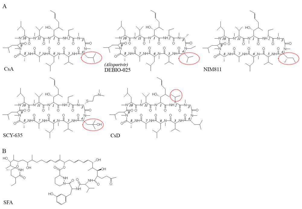 Viruses 02 01621 g001