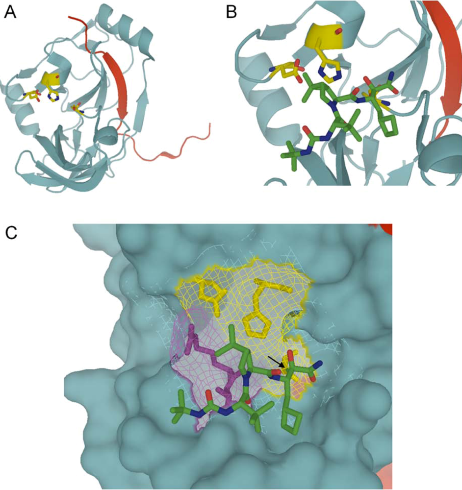 Viruses 02 01752 g001