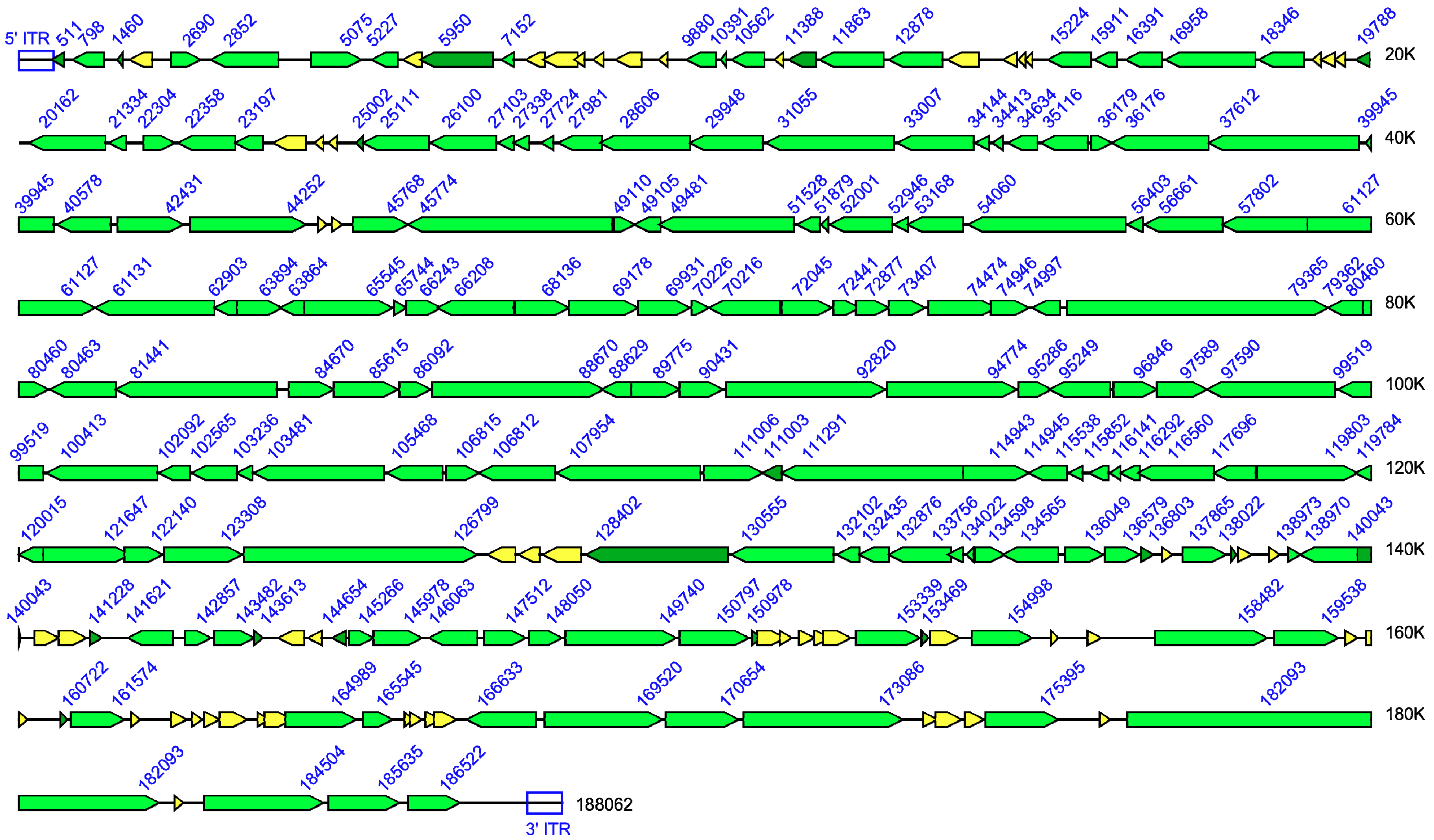 Viruses 02 01933 g005 Viruses 02 01933 g005
