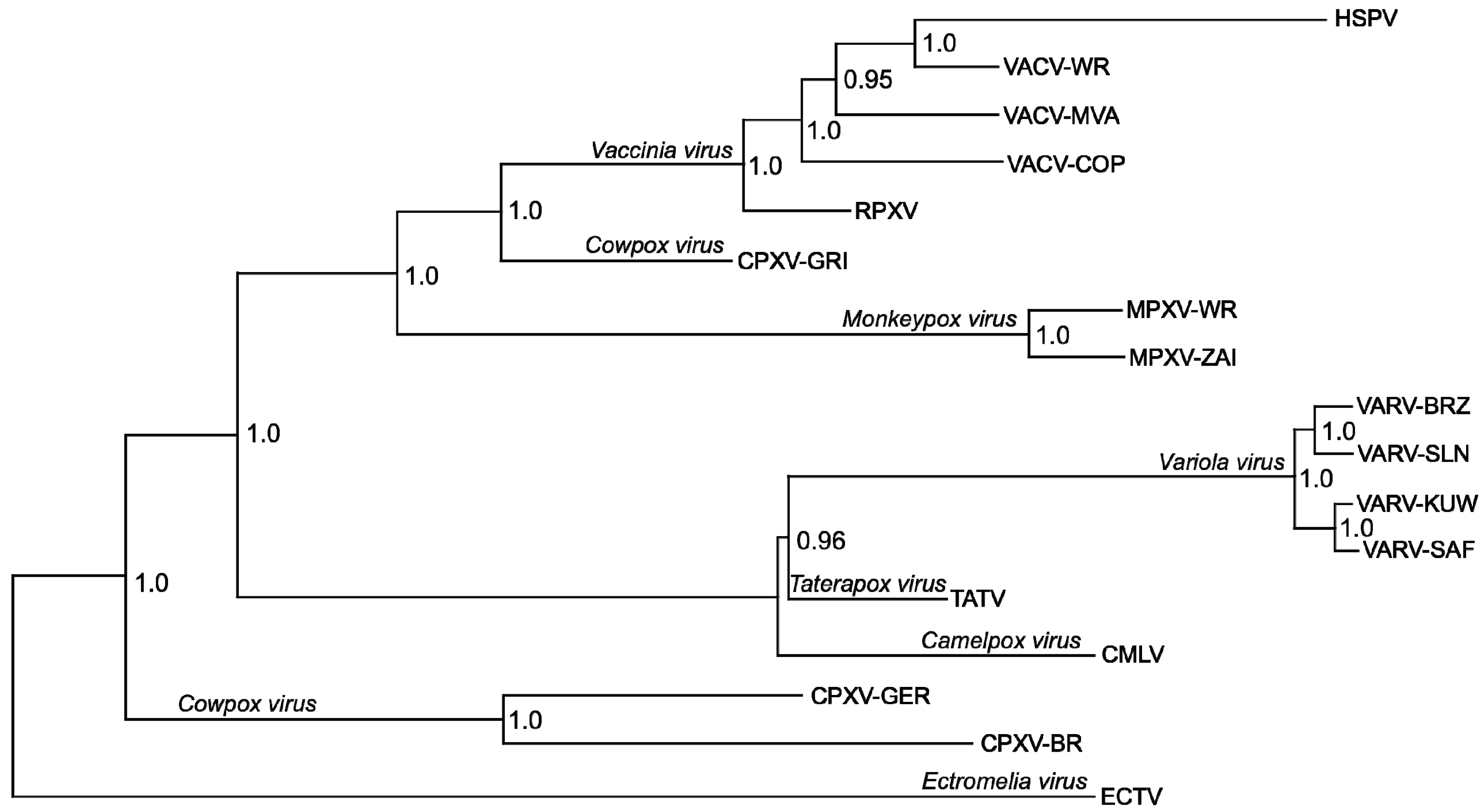 Viruses 02 01933 g006 Viruses 02 01933 g006