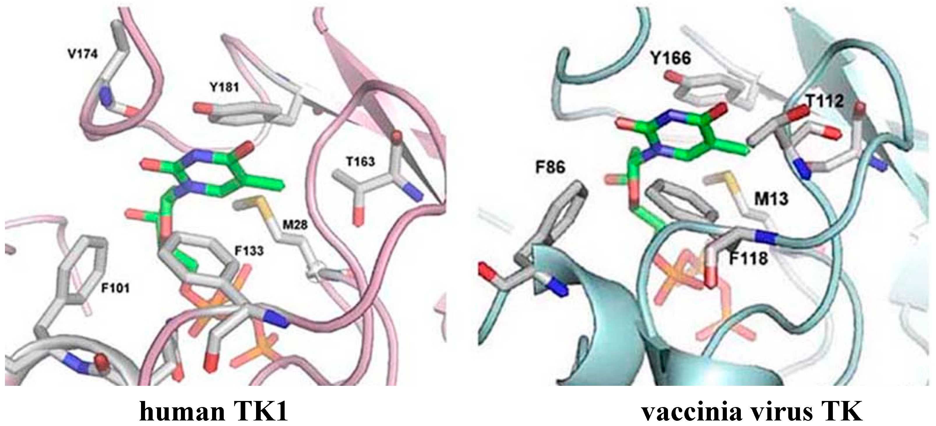Viruses 02 01968 g002
