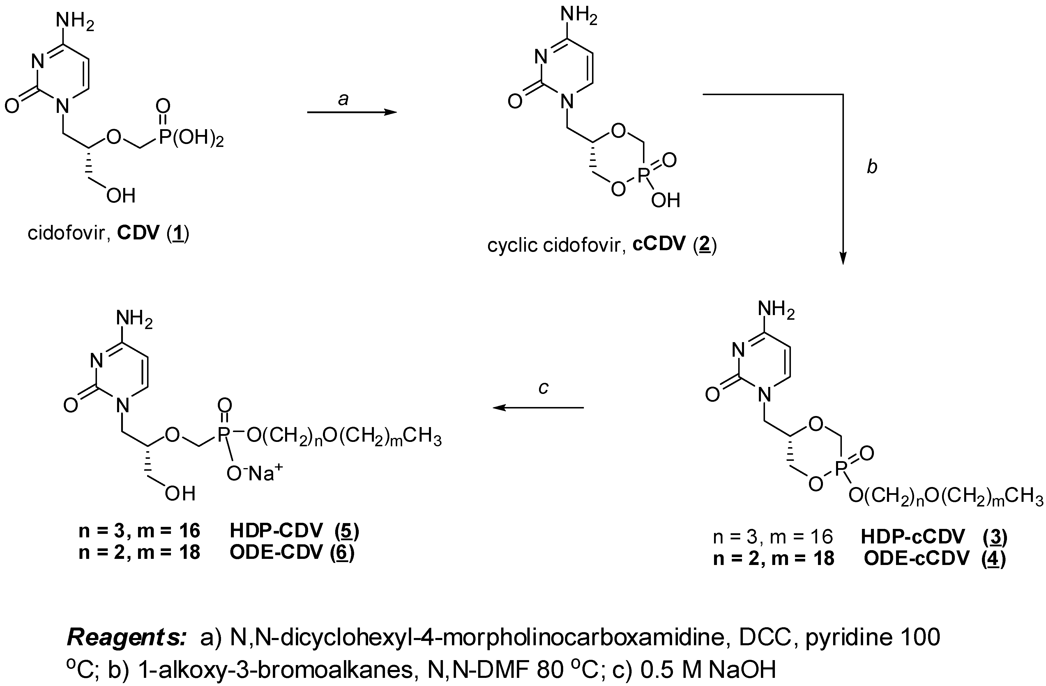 Viruses 02 02213 g002