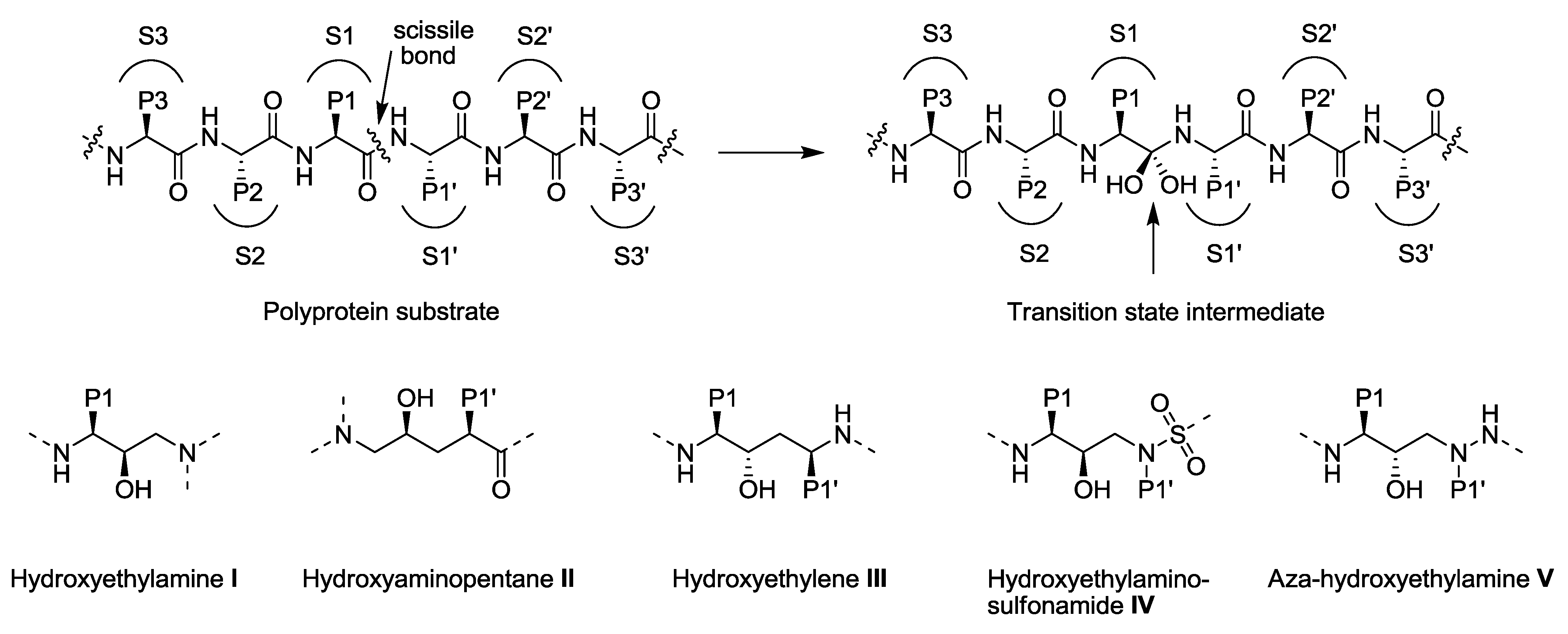Viruses 02 02509 g002