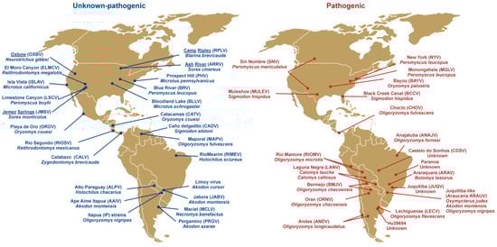 Viruses 02 02559 g001
