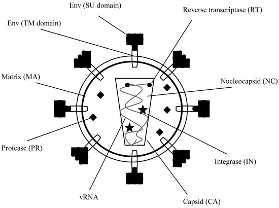 Viruses 02 02618 g002
