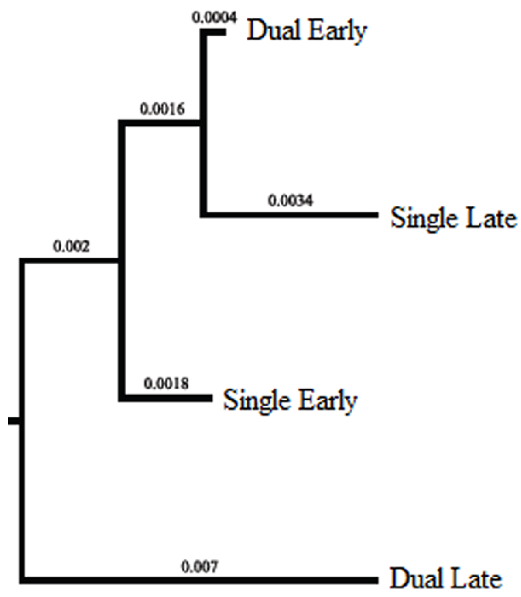 Viruses 02 02663 g002