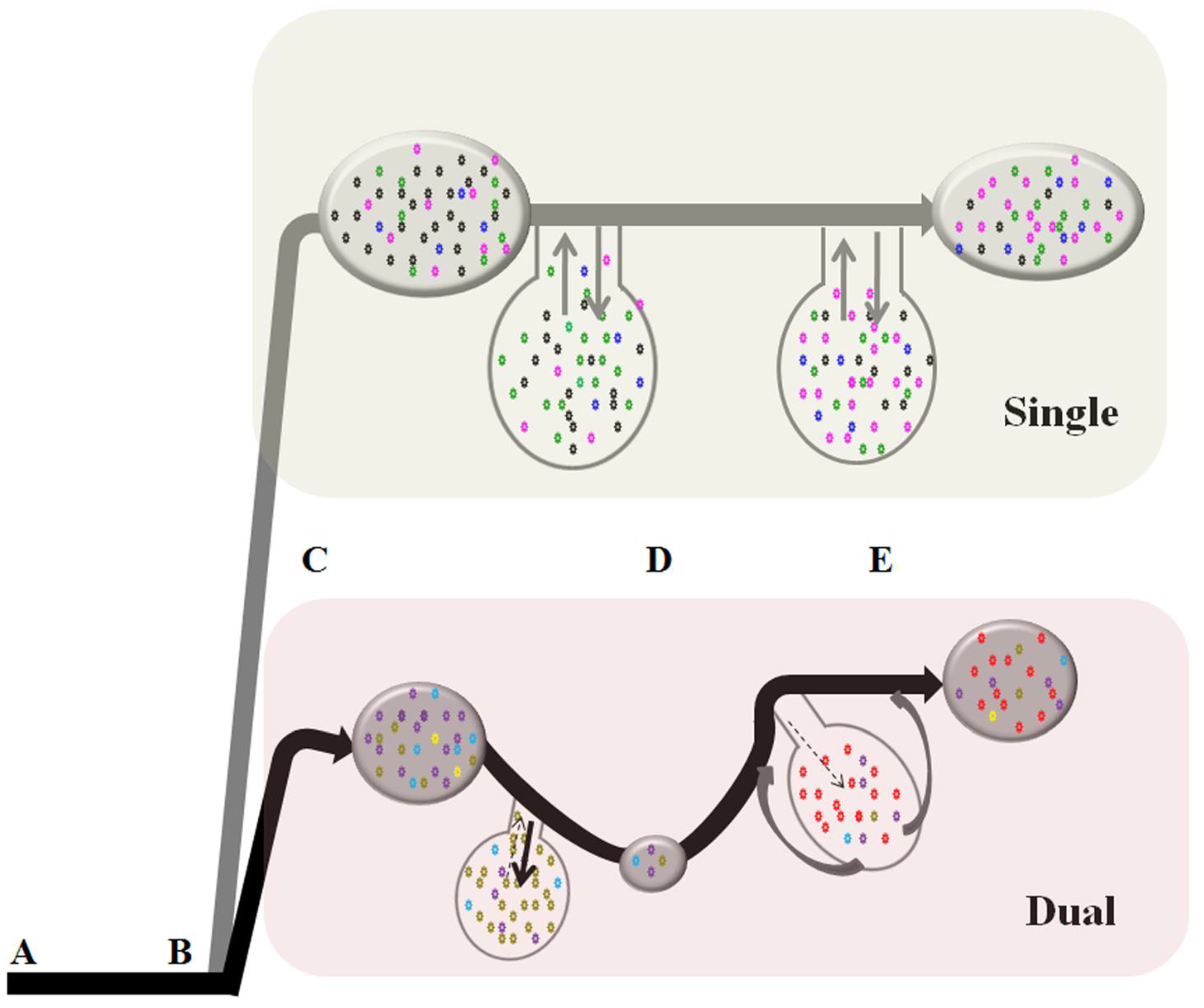 Viruses 02 02663 g005