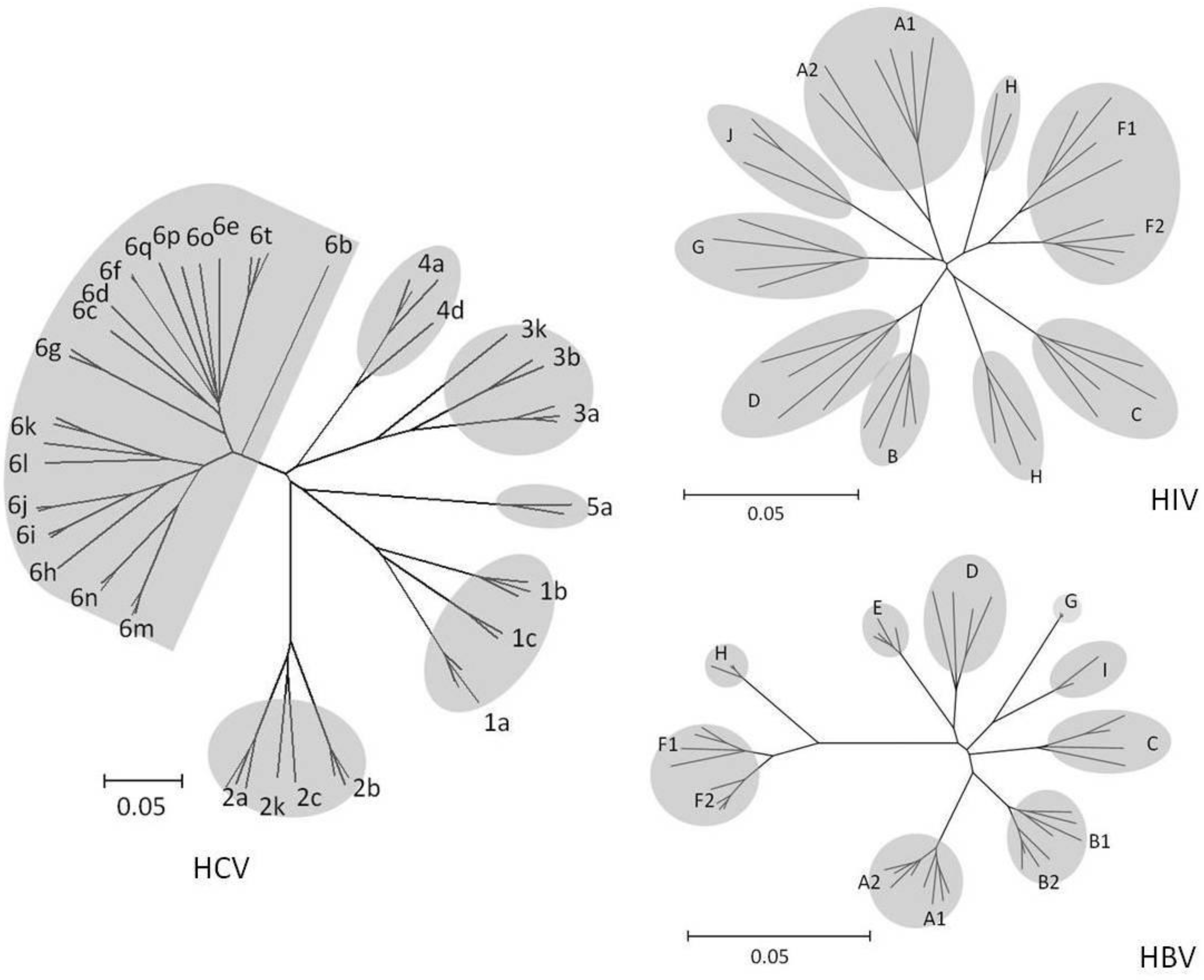 Viruses 02 02696 g001