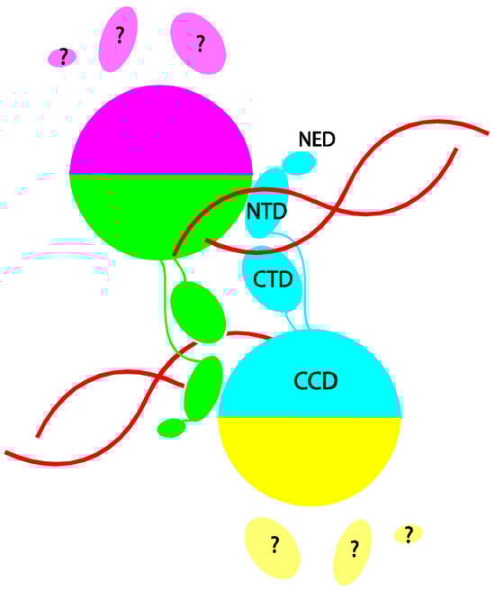 Viruses 02 02777 g001