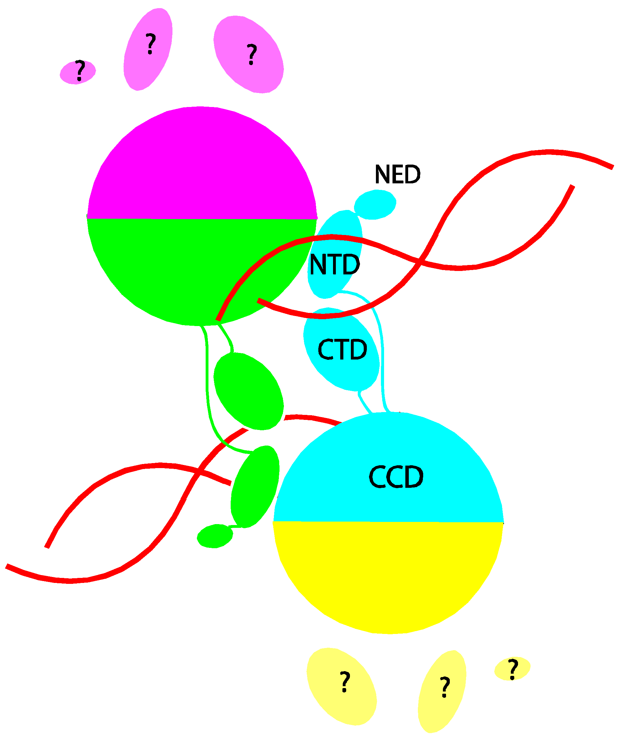 Viruses 02 02777 g001