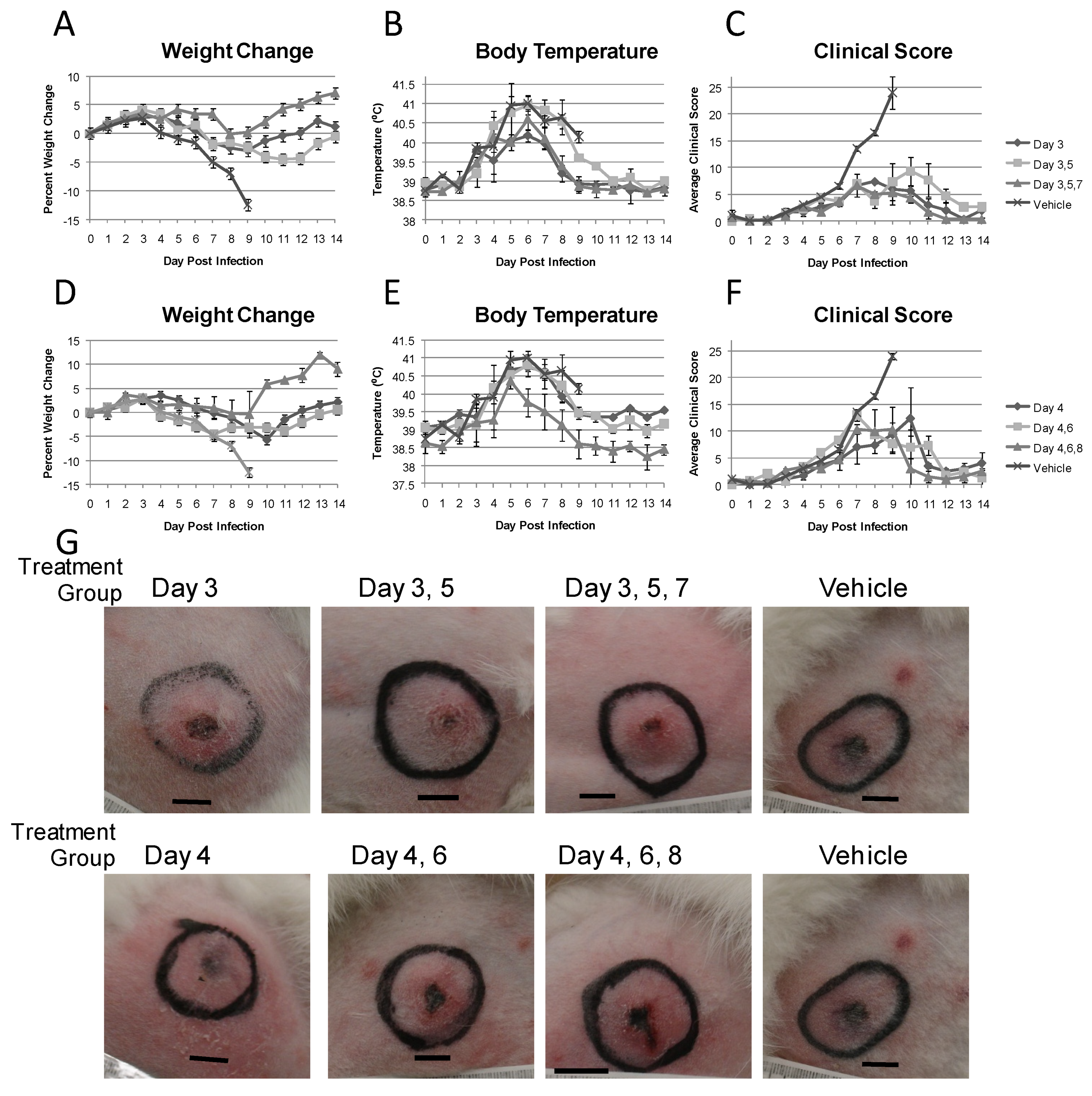 Viruses 03 00047 g001