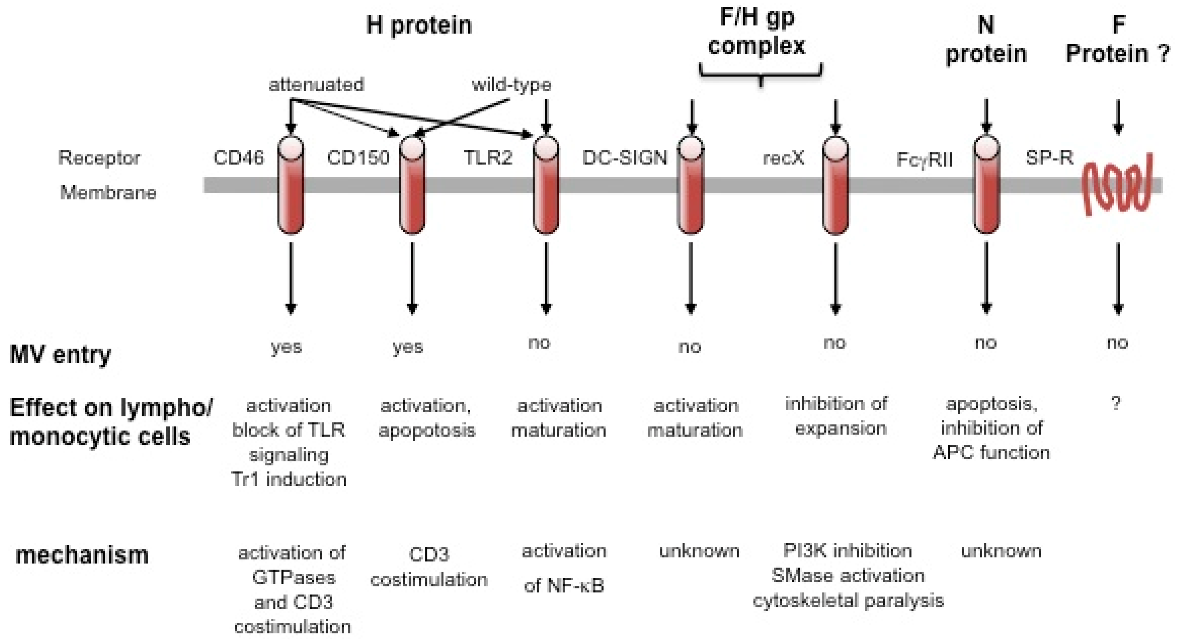 Viruses 03 00102 g001