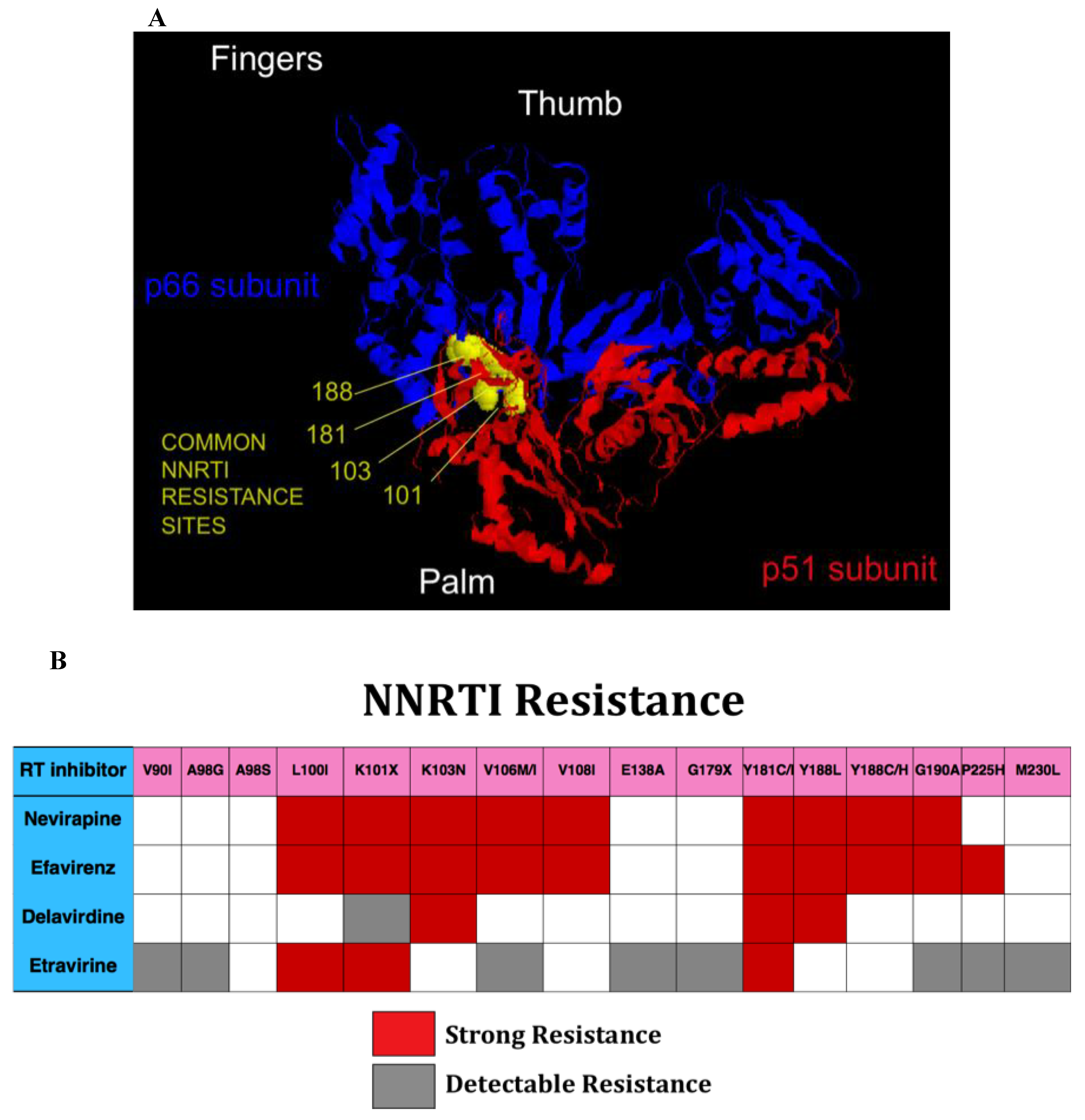 Viruses 03 00347 g003