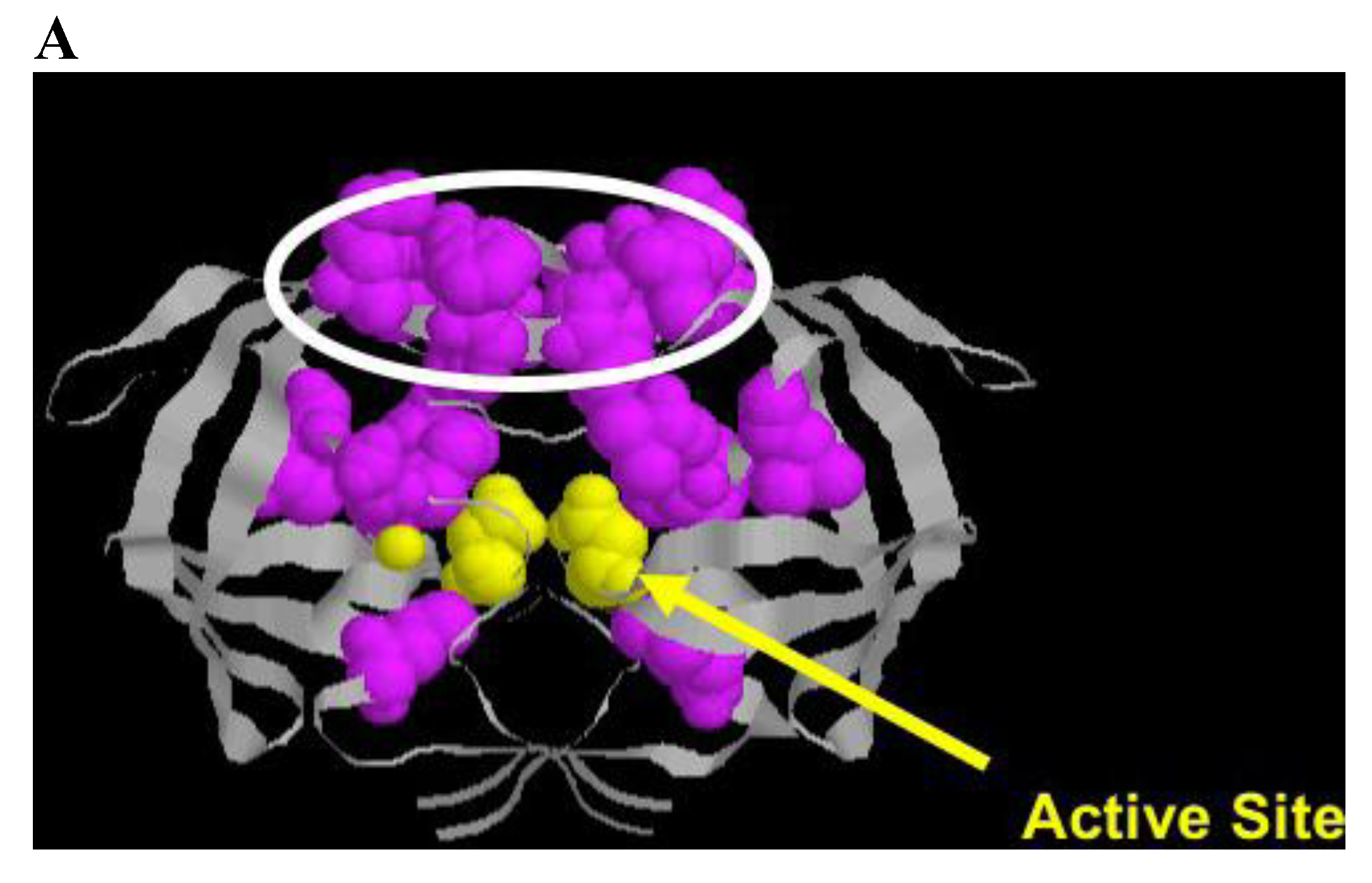 Viruses 03 00347 g004a