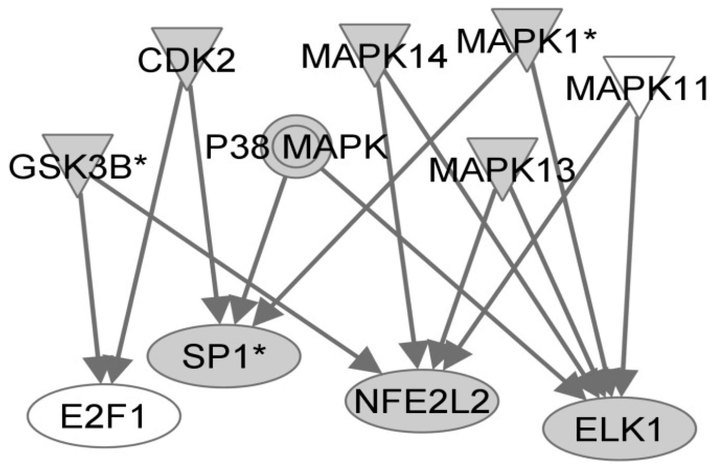 Viruses 03 00613 g001