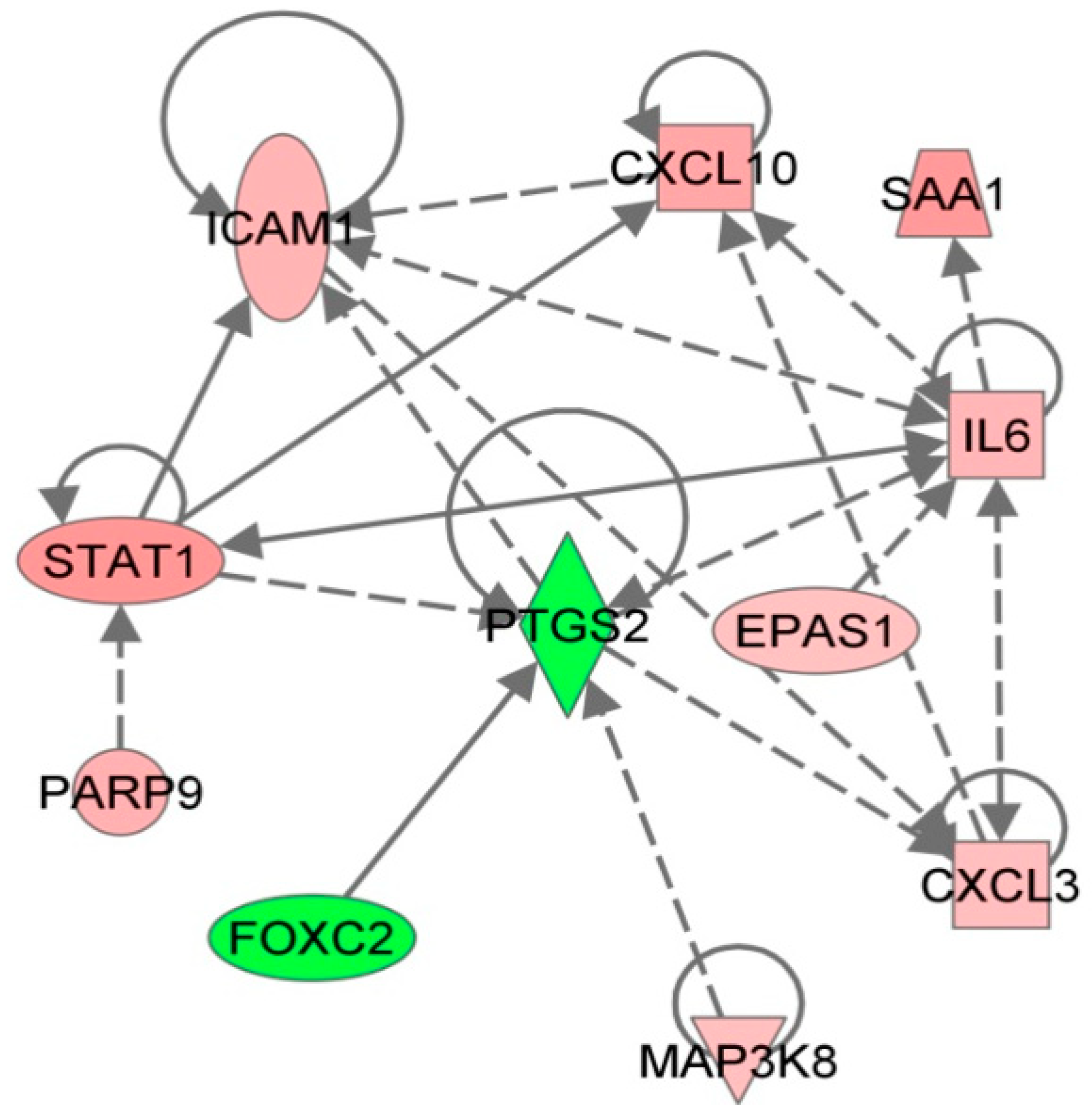 Viruses 03 00613 g002