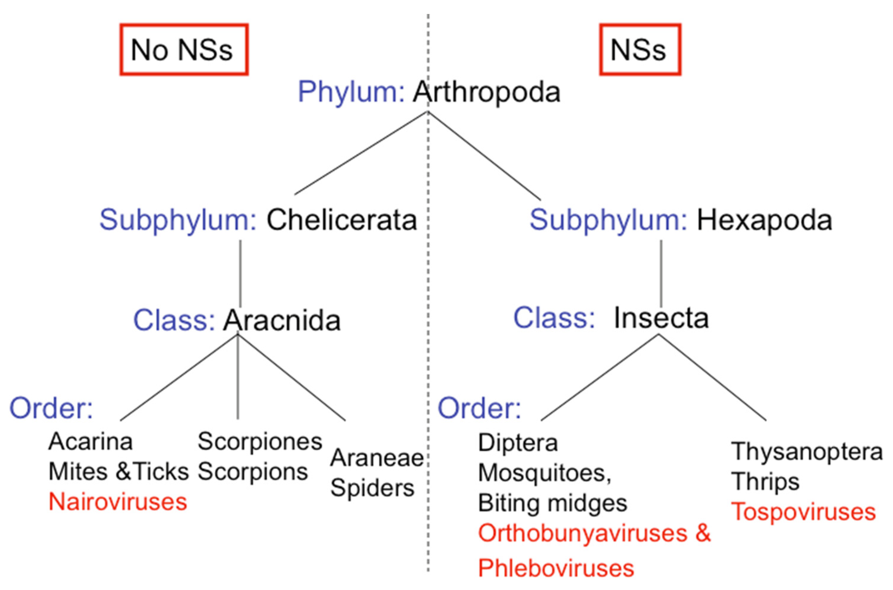 Viruses 03 00629 g002