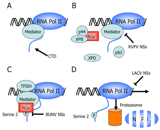 Viruses 03 00629 g003