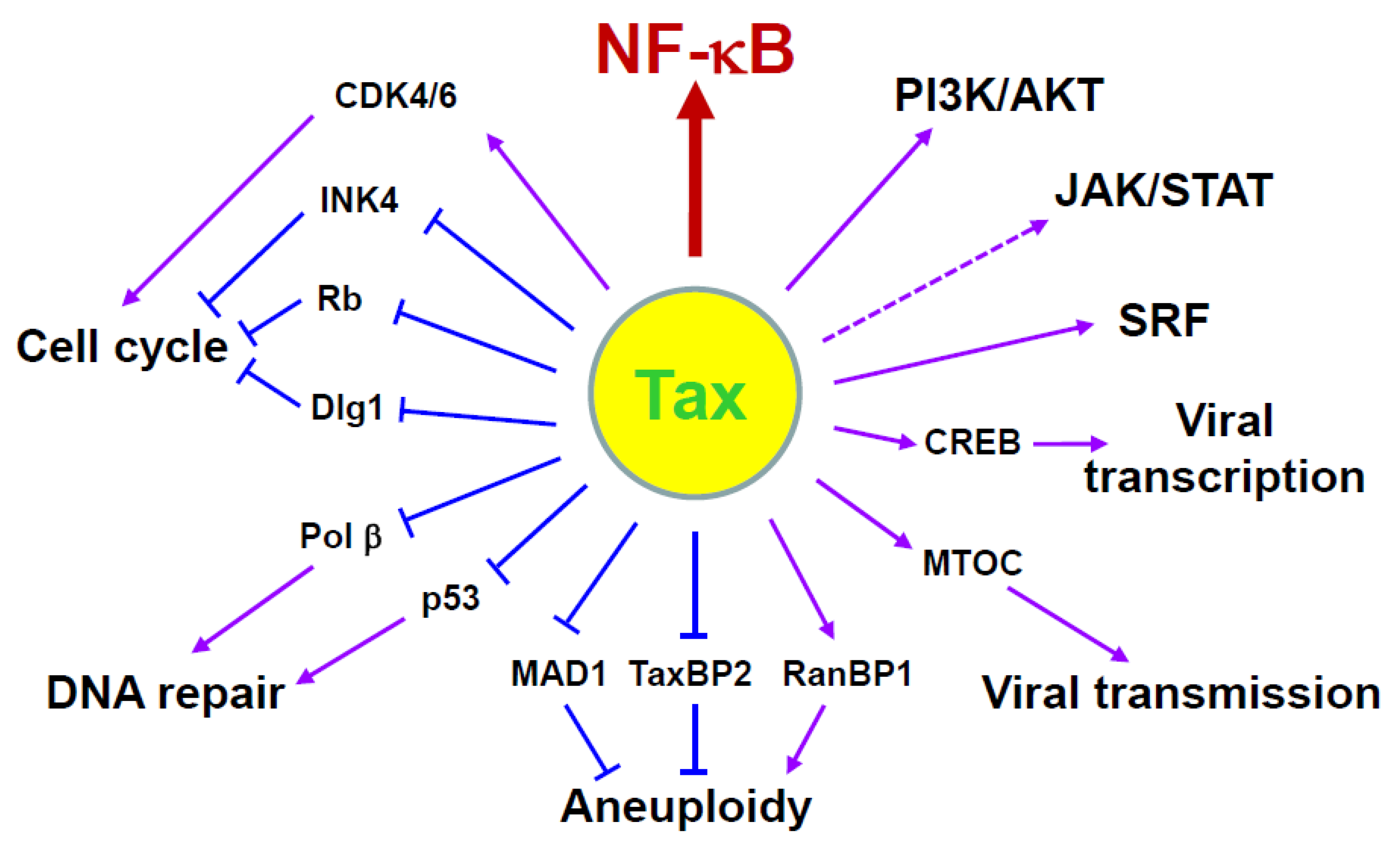 Viruses 03 00714 g002