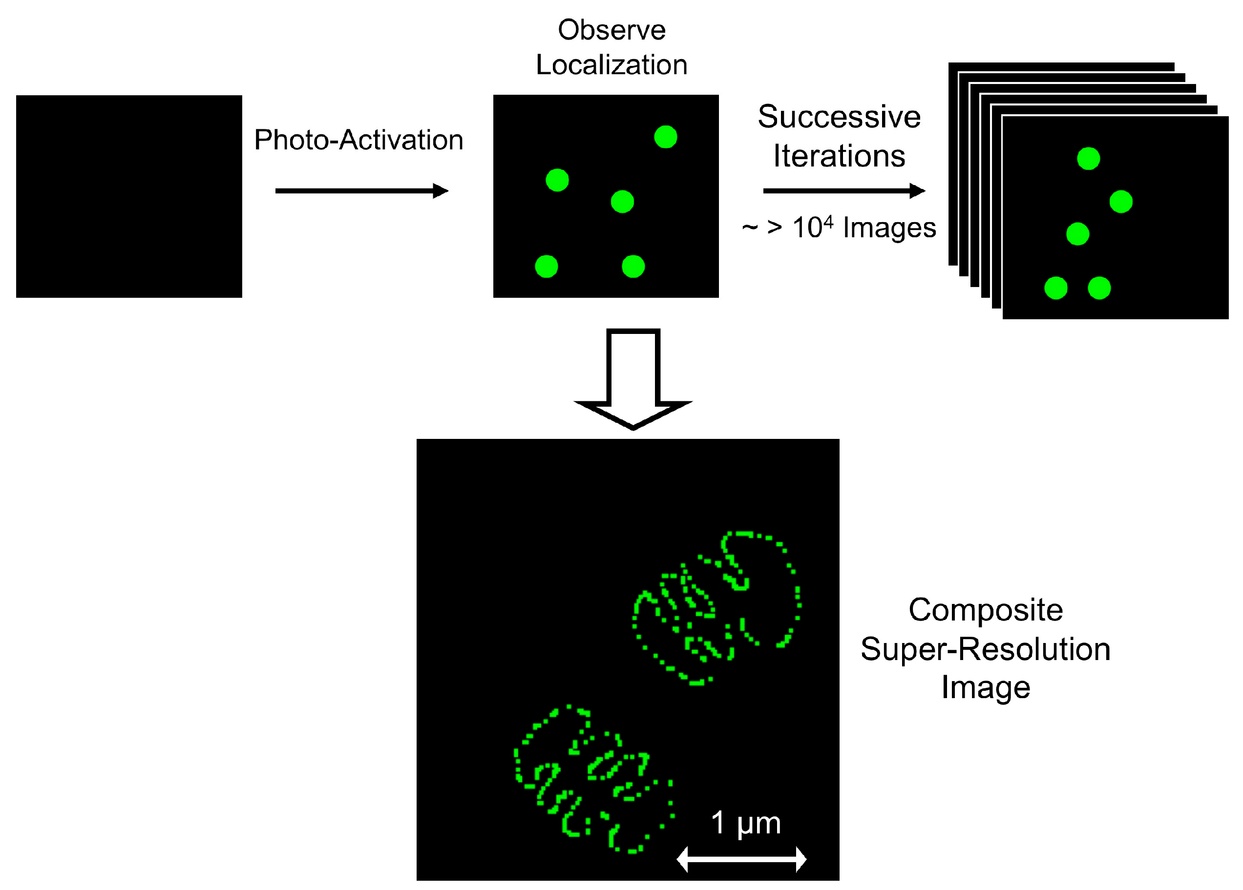 Viruses 03 00770 g005