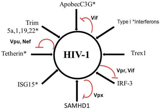 Viruses 03 01179 g001