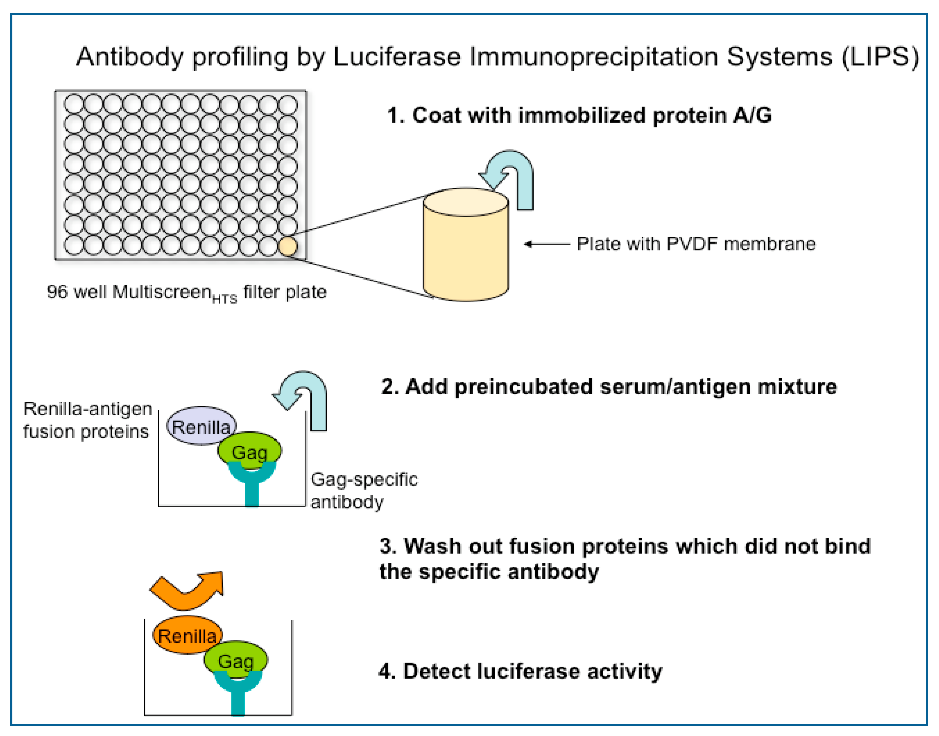 Viruses 03 01320 g003